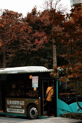 512D396D-7202-4E74-9762-DE62303D9592/L0/001