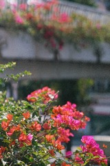 85E1E036-9248-4514-A5D7-F496AE292EF9/L0/001