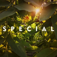Optional(