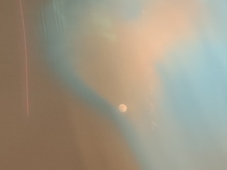 1000016253