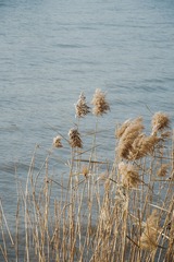41623667-0076-4F67-90B1-2C178749B46F/L0/001