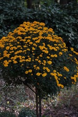 263090