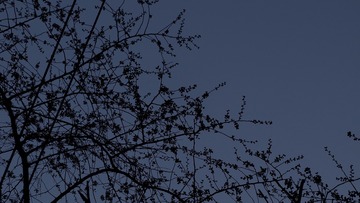 E30D492D-35C8-4CE7-9B3B-F64066899FC2/L0/001