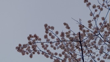 8A65131F-D172-49B0-A4F4-0B83B8D1B9CB/L0/001