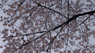 6B218210-D584-498F-A2BF-F5AC28E6A9A4/L0/001