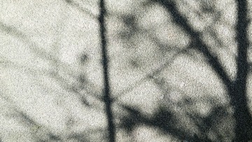 14034