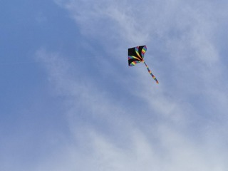 3851499