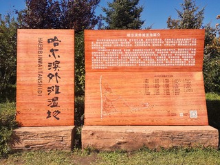 3936386