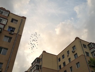 3925444