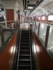 3946623