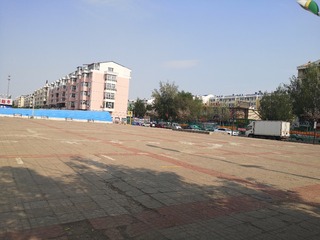 3923942