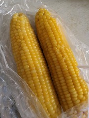 3928284