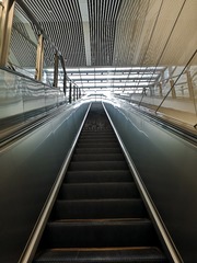 3924384