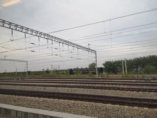 3923288