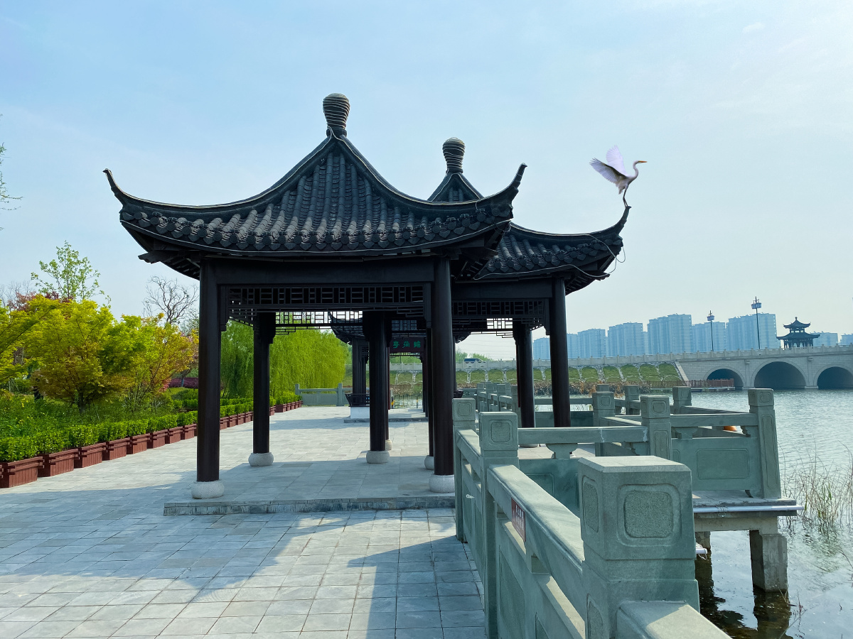 南通港闸区白龙湖公园生态环境好白鹭家园