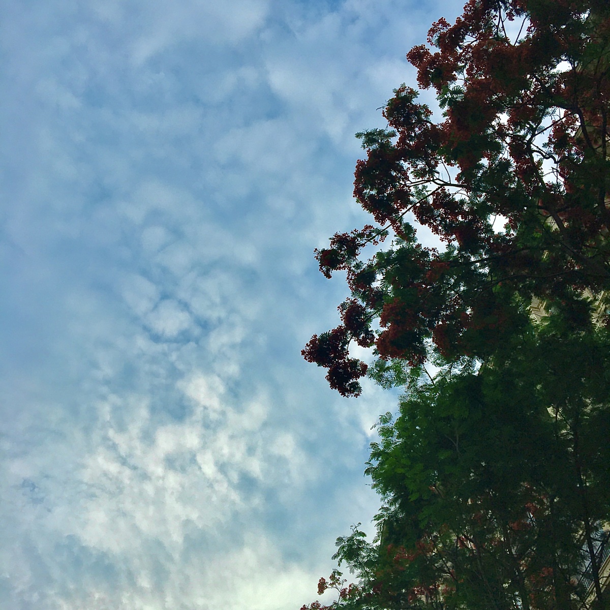 阳光明媚的周末 - 珍珍895 - 图虫