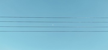 1000029072