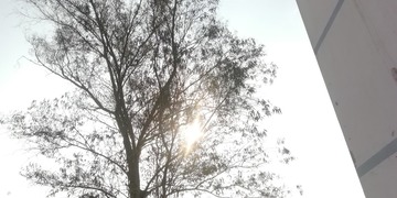 1184867