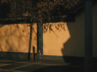 2881079