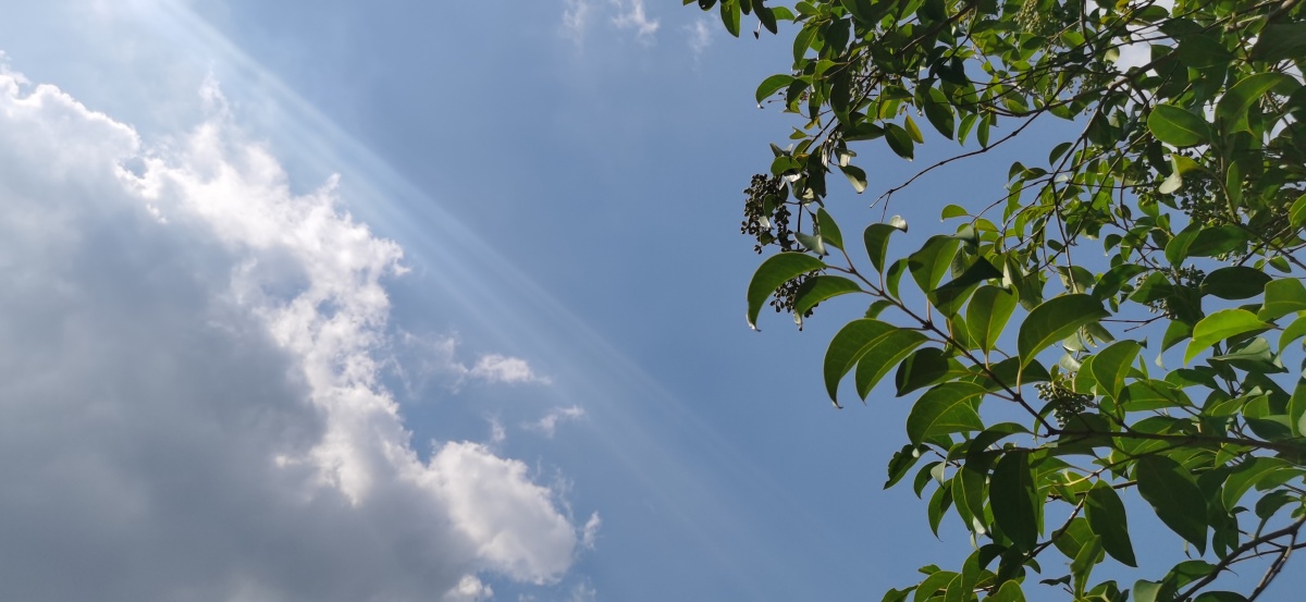 晴朗的天气天空就是美
