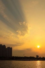 1000006315
