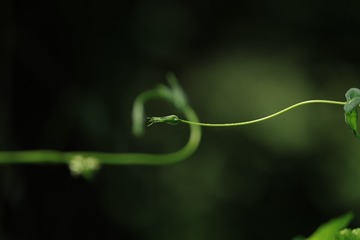 1000003426