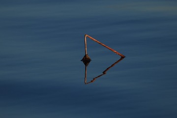 1000006512