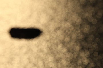 1000006859