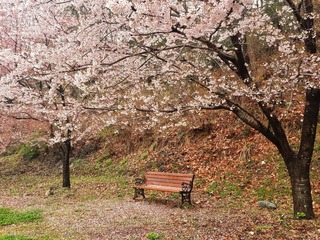 20160407_133401_1