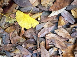 20151121_145456_1