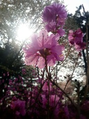 20160413_152553_1