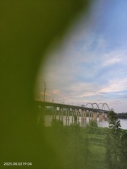 1000042036
