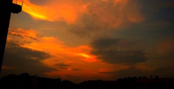 1307654