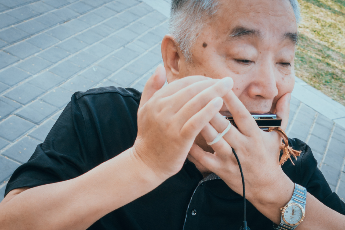 ┠猫摄影┨吹口琴的人老人