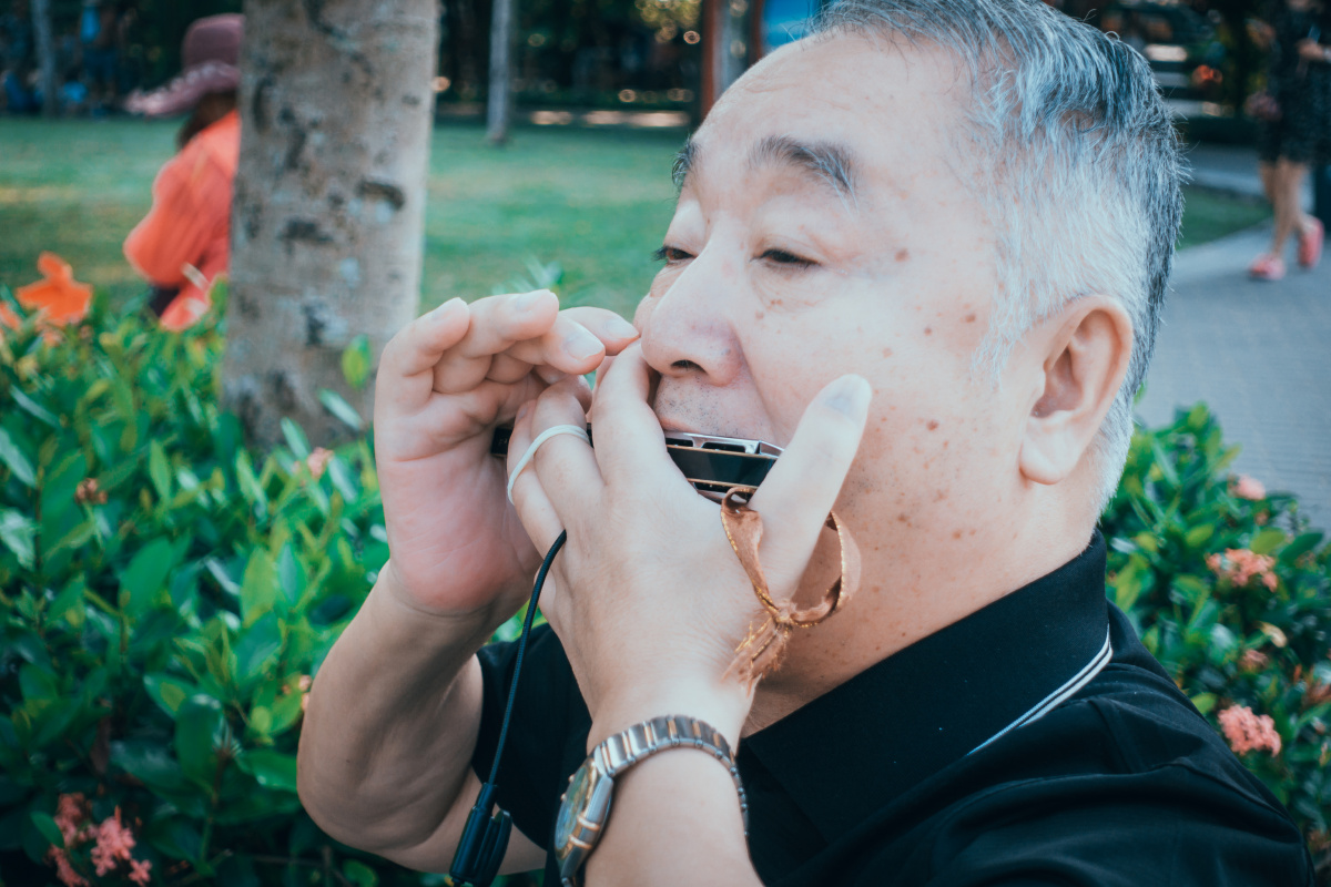 ┠猫摄影┨吹口琴的人老人