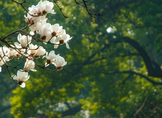 96225915-C328-4521-9DC7-9A7F26135B60/L0/001