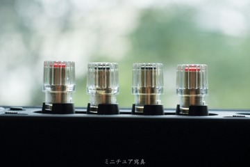 cas-1_22777478428_o