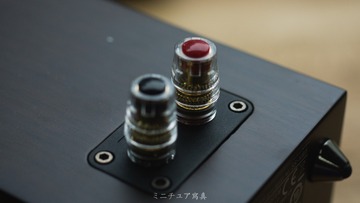 cas-1_30839175412_o