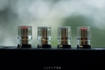 cas-1_30839180772_o