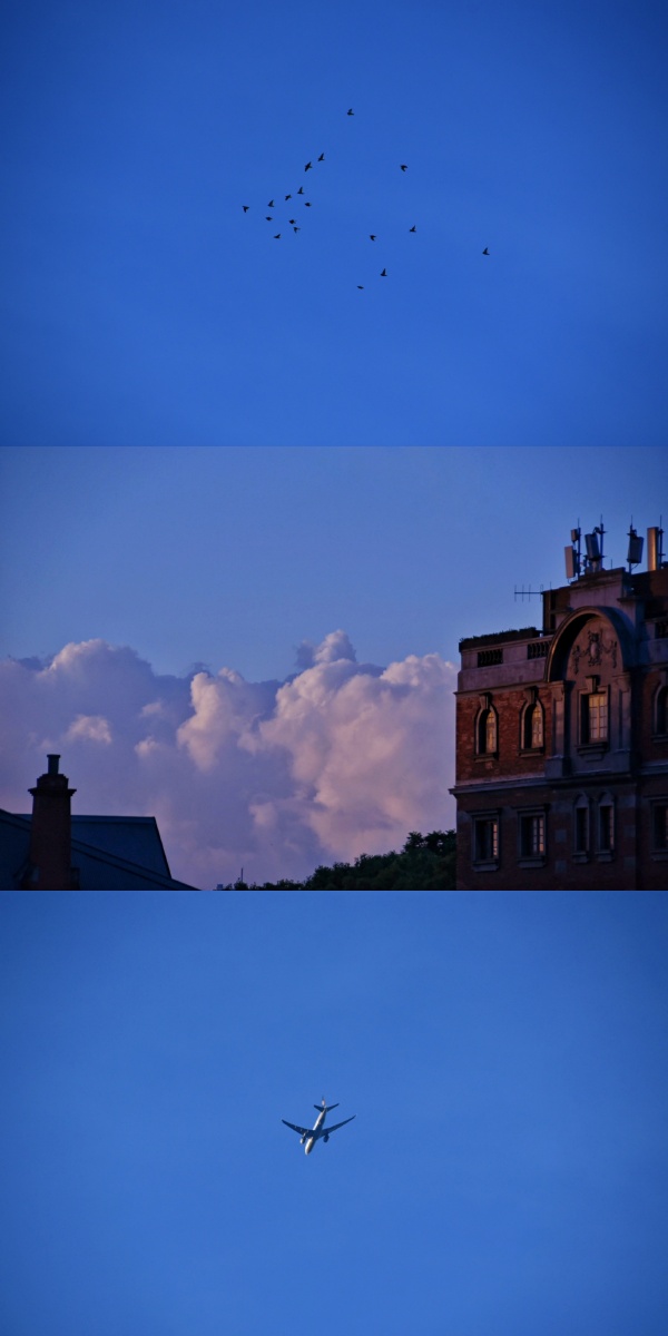 克莱因蓝的天空