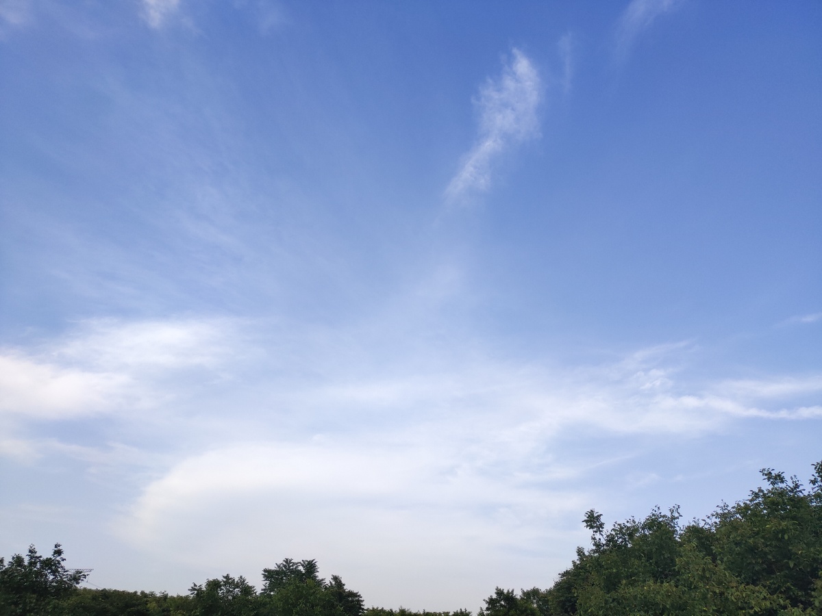 天空麦田最好的回忆一直陪伴