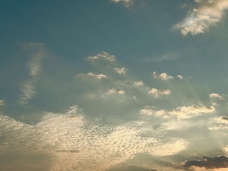 05CD0114-7388-41F1-98BF-29BC1E7BB4D9/L0/001