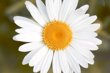 FA0237CB-D2E9-4223-BE89-11C4DAFF4742/L0/001