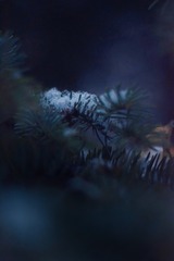下雪啦1