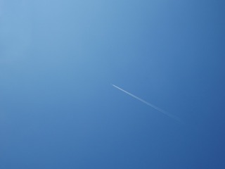 1176947