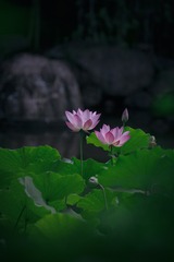 001