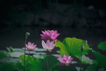 001