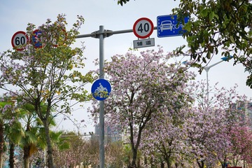 Optional("BFCF0834-218F-49C1-B11D-40C7057A5992/L0/001")