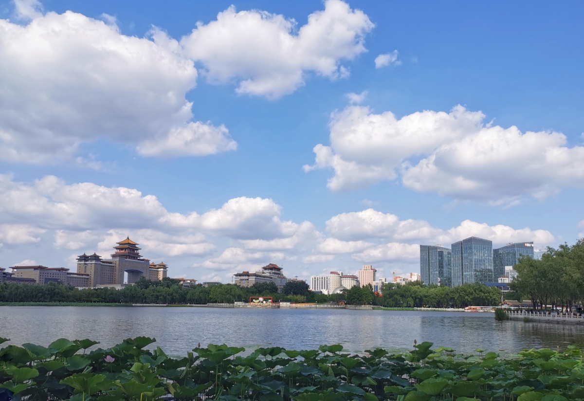 京门西站拍于北京莲花池公园
