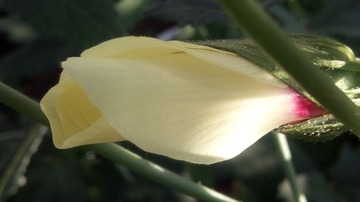 200221
